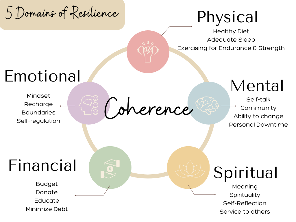 The 5 Domains of Resilience